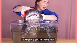 Ssoyoung fighting with her food for 11minutes straight 🦞 [upl. by Tterrag]