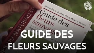 Guide des fleurs sauvages [upl. by Sedberry353]