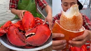 Fisherman Eat Giant Lobster Mukbang  Chinese Seafood Mukbang Show [upl. by Hoskinson]