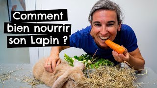 Comment bien nourrir son Lapin  🐰 [upl. by Glovsky933]