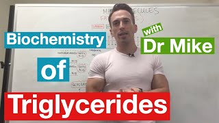 Fatty Acids Glycerol and Lipids  Biochemistry [upl. by Radburn]