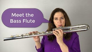 Meet the Bass Flute [upl. by Aratahs]