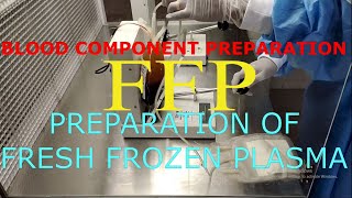 Fresh frozen plasmaFFPBlood component preparation [upl. by Adnilram611]