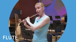 Guide to the Orchestra Flute Demonstration  Minnesota Orchestra [upl. by Novyat]