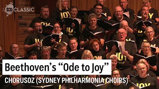 Beethovens quotOde to Joyquot live at the Sydney Opera House [upl. by Mainis935]