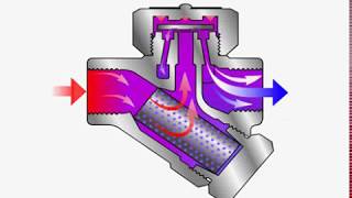 Steam Trap  Thermodynamic  How it Works [upl. by Lula452]