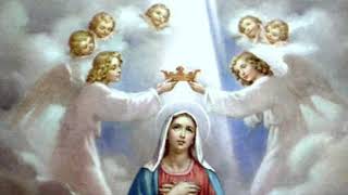 Marys Song The Immaculate Conception [upl. by Niro]