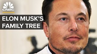 Elon Musk’s Family Tree Explained [upl. by Felt]