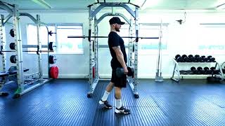 DB Split Stance Romanian Deadlift [upl. by Kcam424]