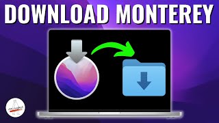 How to Download macOS Monterey  4 Different Ways [upl. by Eenattirb349]