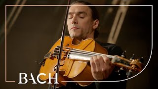 Bach  Cello Suite no 6 in D major BWV 1012  Malov  Netherlands Bach Society [upl. by Akenat]