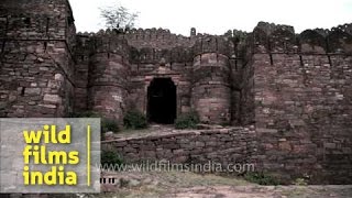 Khandar Fort  an ancient fort at Sawai Madhopur Rajasthan [upl. by Nichole]